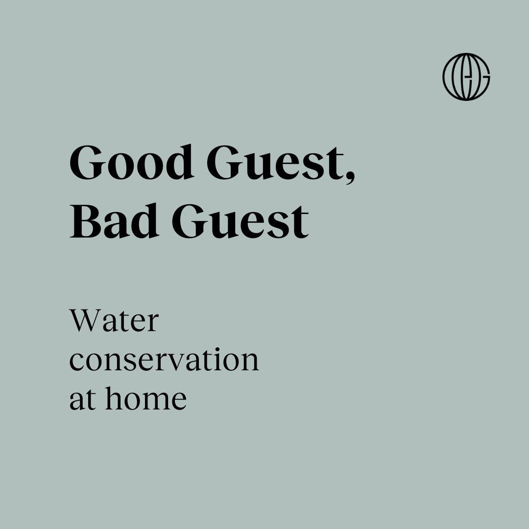 Good Guest Bad Guest: Water conservation at home