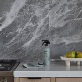 Interior designed kitchen with all purpose cleaner