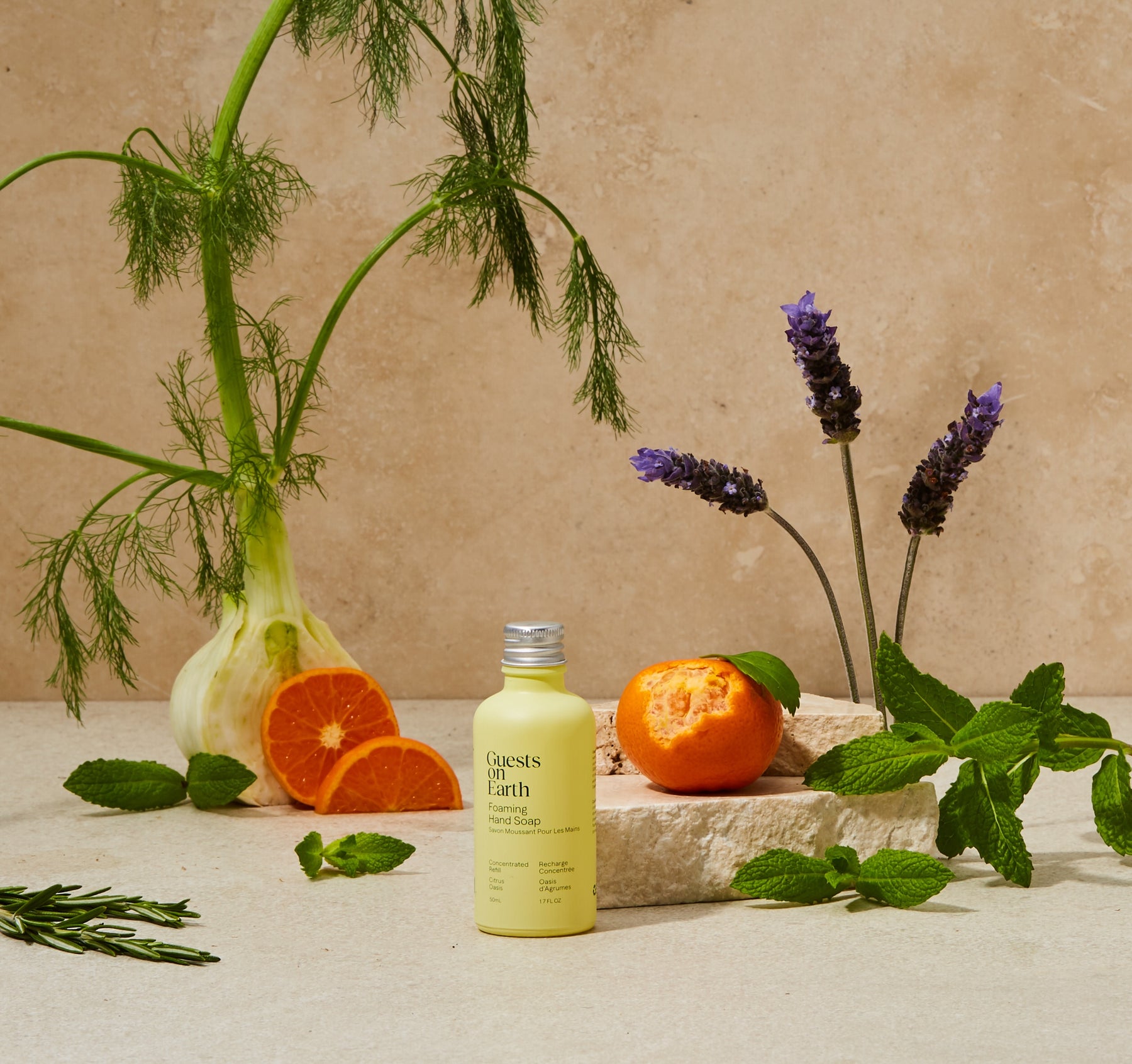 Guests on Earth Citrus Oasis: cool spa-fresh scent, tangerine + peppermint with lavender; formerly Desert Dawn