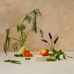 Guests on Earth non-toxic cleaning products, citrus oasis scent inspired by orange, fennel, lavender and mint still life