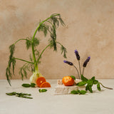 Guests on Earth non-toxic cleaning products, citrus oasis scent inspired by orange, fennel, lavender and mint still life