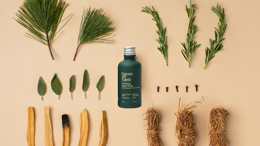 Guests on Earth Woodlands foaming hand soap refill with pine, rosemary, sage, cloves, and earthy wood roots