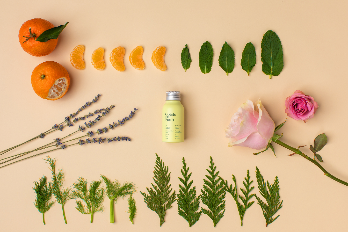 Guests on Earth Desert Dawn, a citrusy oasis: mini bottle styled with mandarin slices, mint, lavender, rose and greenery