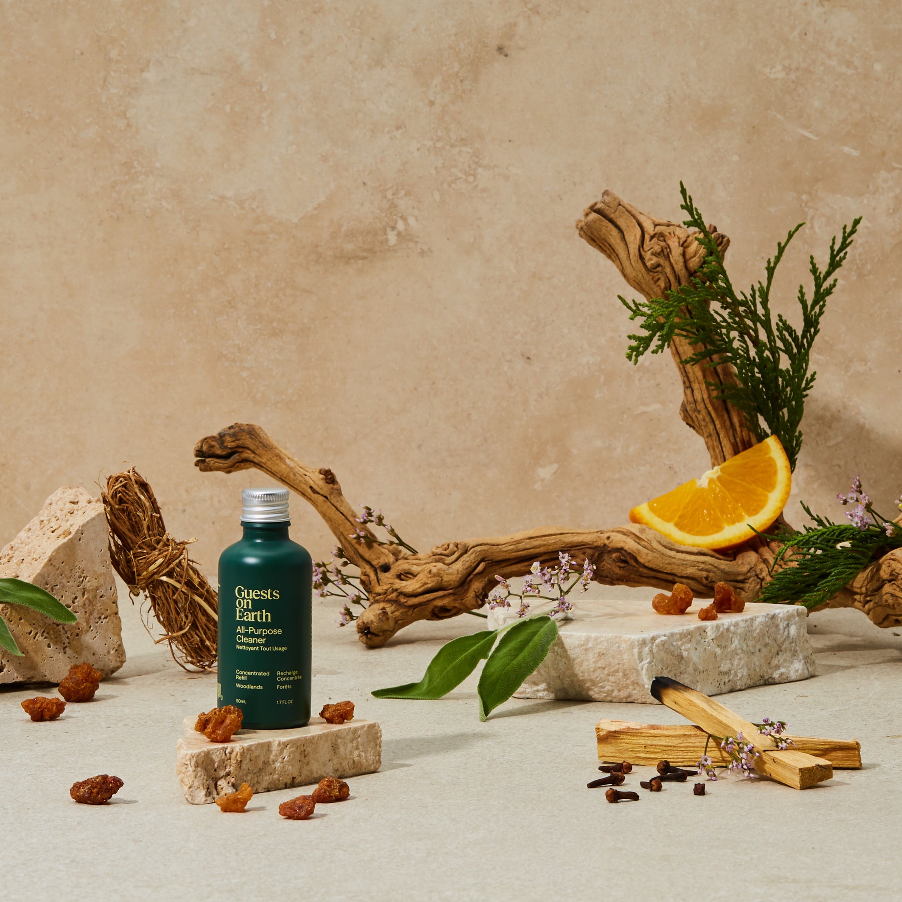 Guests on Earth All-Purpose Cleaner in Woodlands scent, styled with citrus, greenery, and warm natural textures.