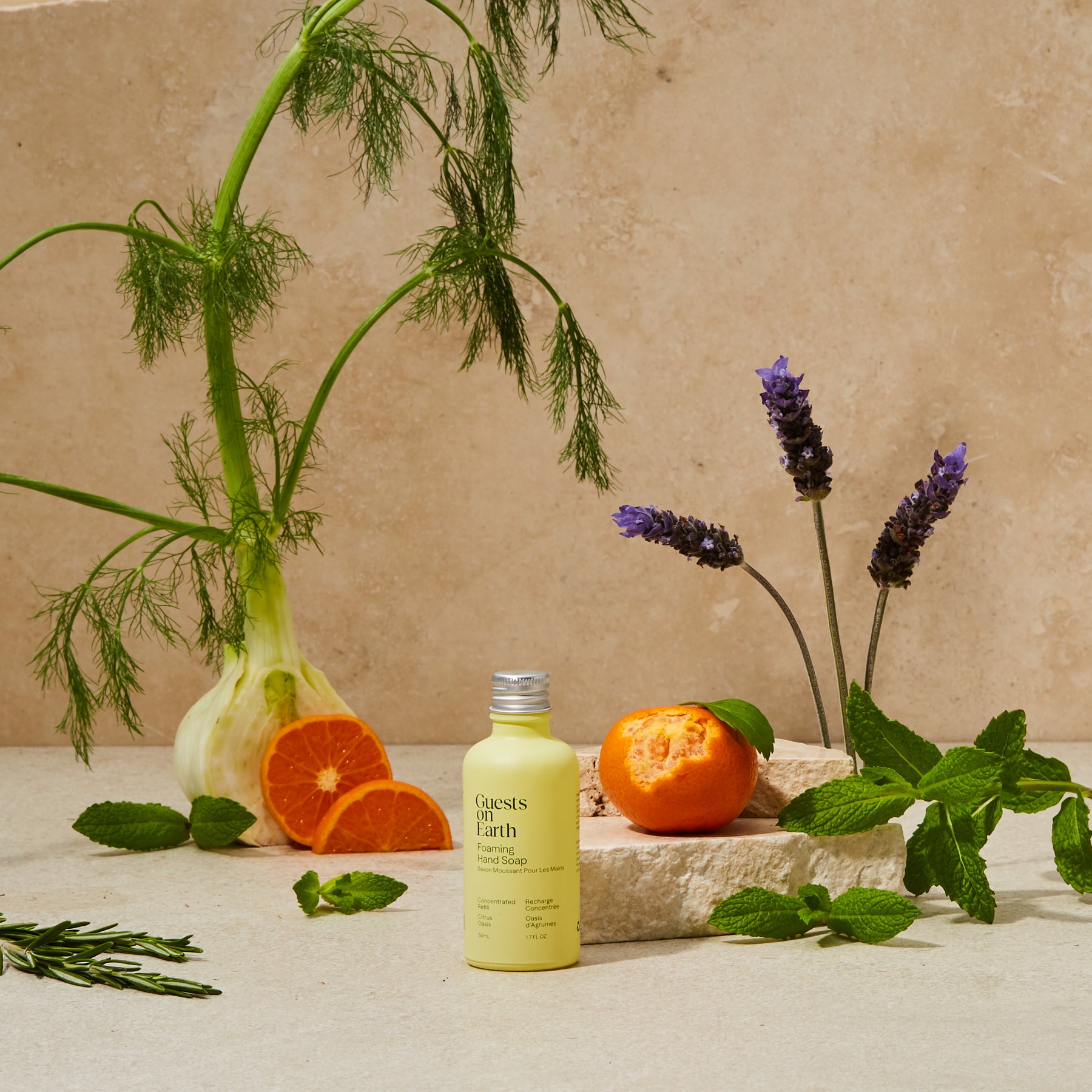 Guests on Earth foaming hand soap in Citrus Oasis scent, styled with orange, mint, fennel, and lavender.