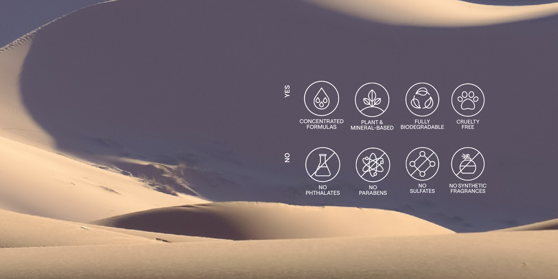 Guests on Earth: Premium, plant-based and effective ingredients with concentrated, biodegradable formulas, cruelty-free