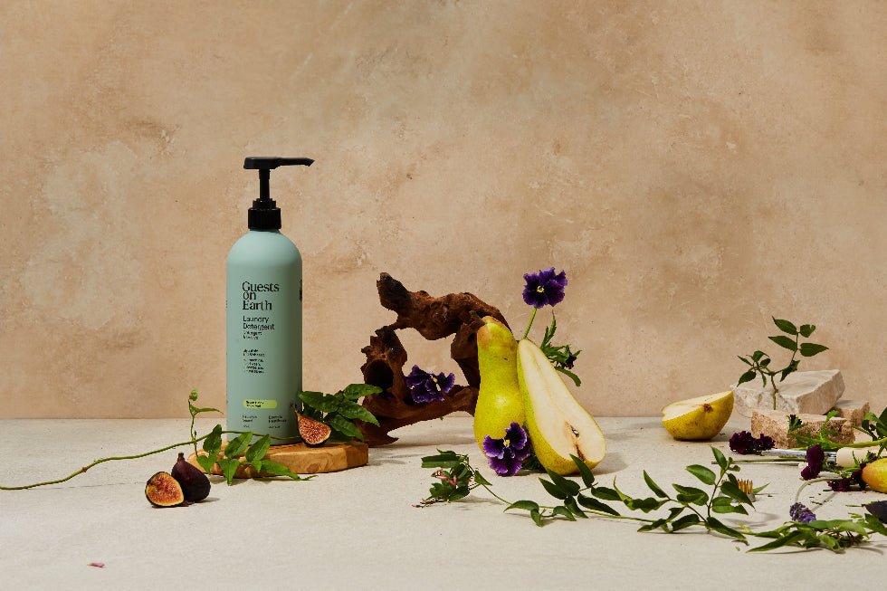 Guests on Earth Laundry Detergent Green Hinoki, Non-Toxic formula, styled with pear, figs, and flowers
