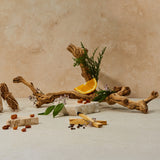 Guests on Earth non-toxic cleaning products, woodlands scent inspired by driftwood, cedar greens, citrus wedge and spice